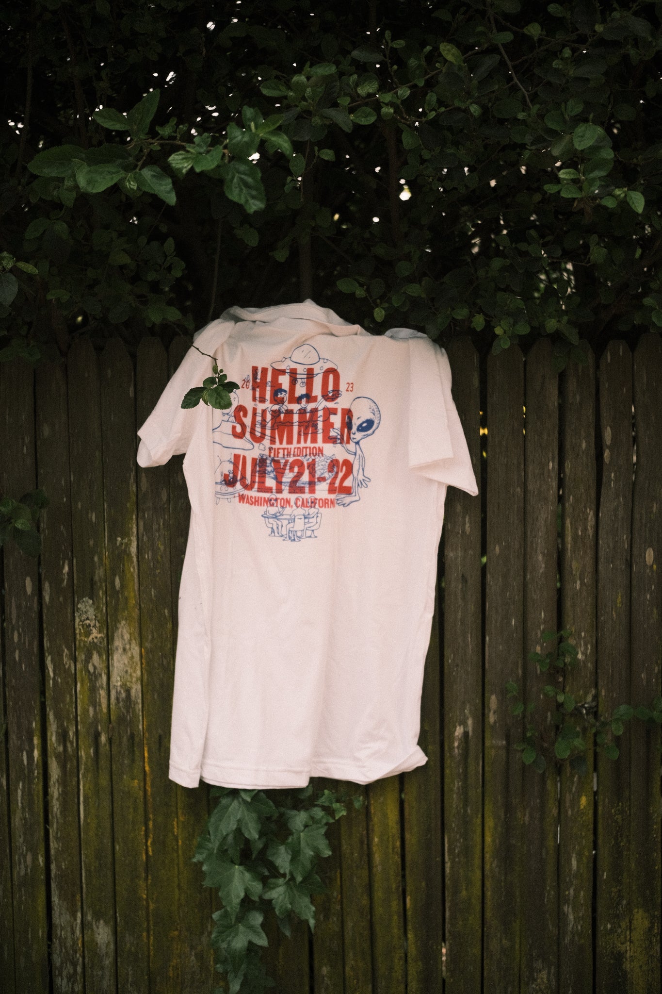 Hello Summer - Pink / Blue